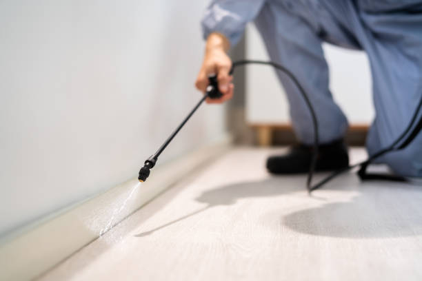 Bed Bug Pre-Treatment Preparation Assessment in Foresthill