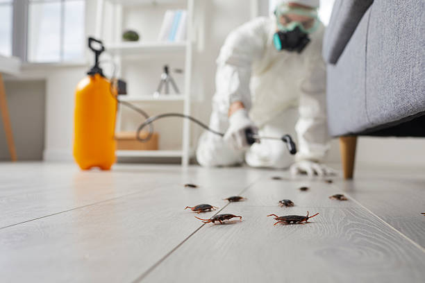 Post-Treatment Bed Bug Interceptor Monitoring in Foresthill