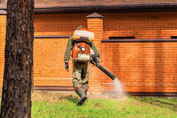 Bed Bug Clearance Verification and Documentation in Foresthill